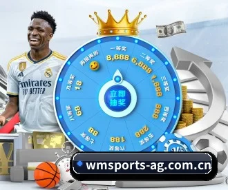 完美体育 APP 深度功能 | wanmei sports