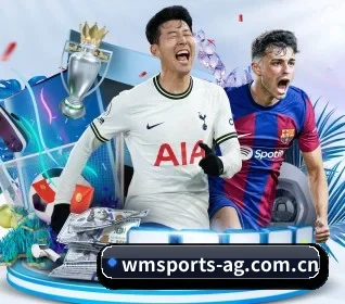 完美体育 APP(wanmei sports)